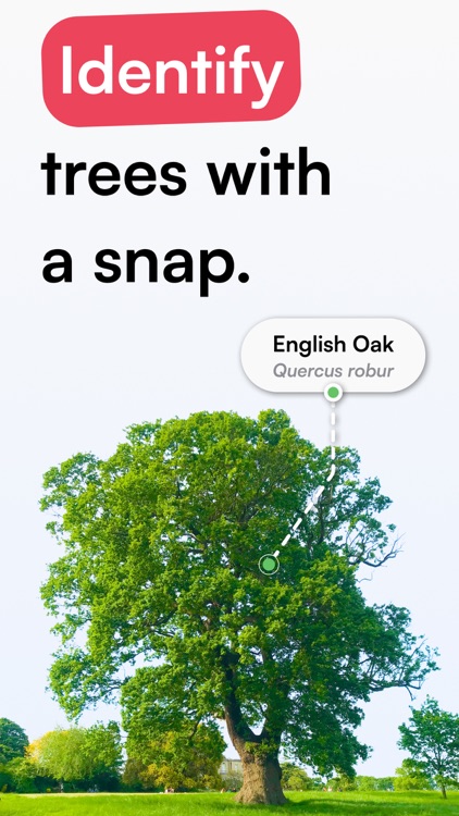 TreeID - Tree Identifier