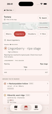 Linny Screenshot 2 of 4