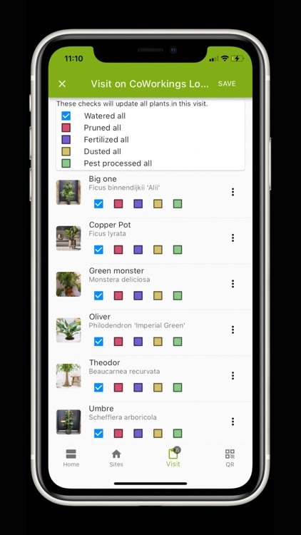 One Big Green screenshot-4