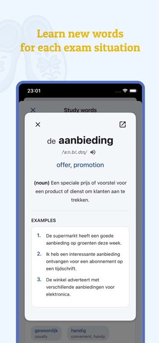 Inburgering Screenshot 5 of 8