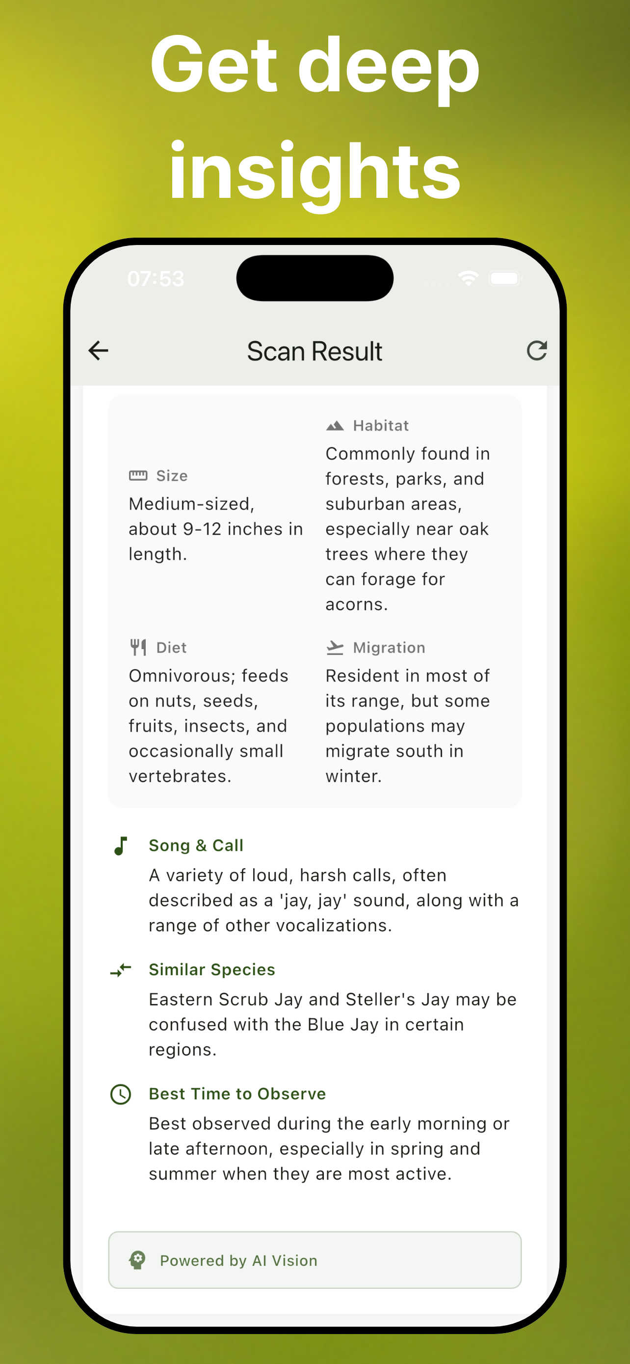 Bird Identifier: AI Scan