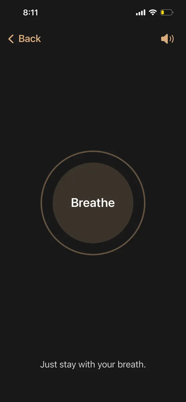 #5. Replace App (iOS) By: Maryam Farhadi