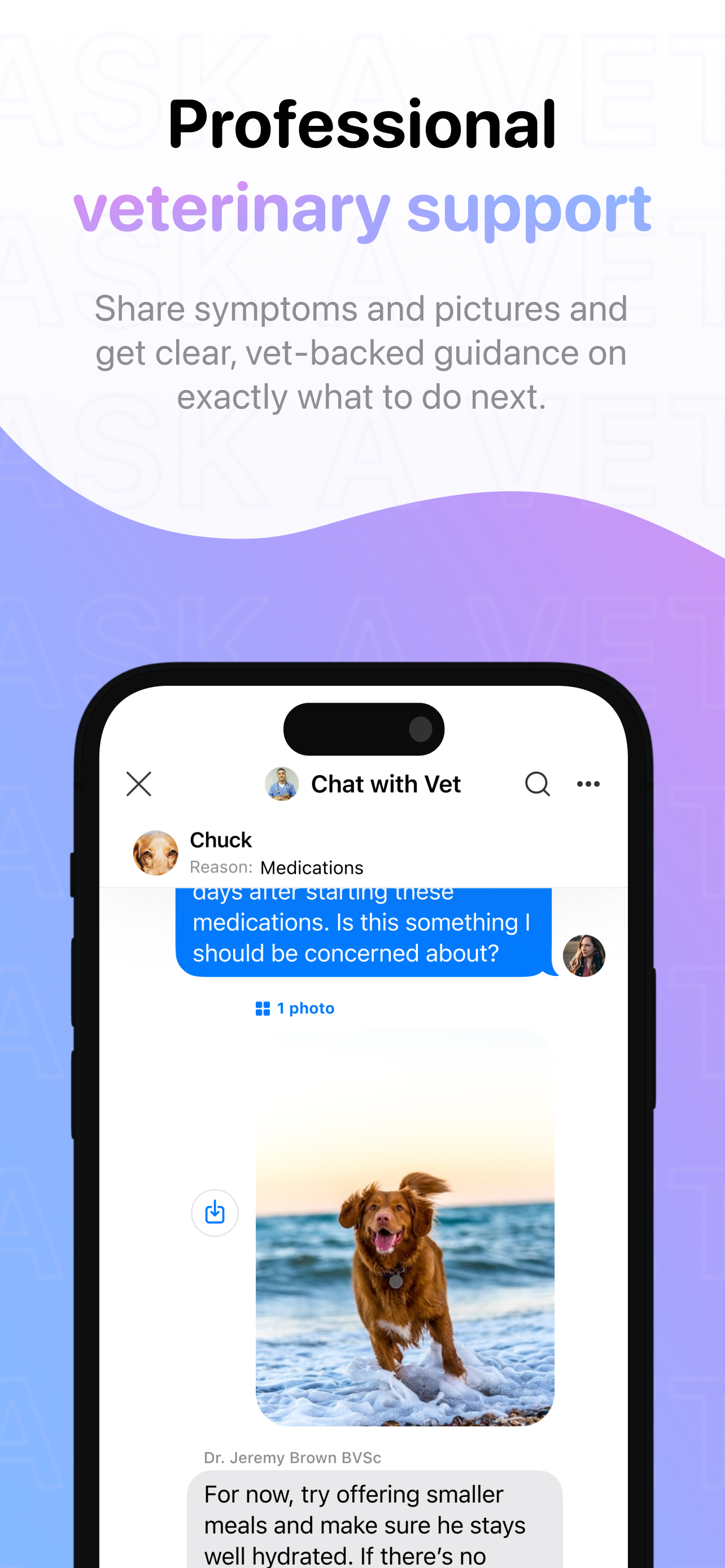 Ask A Vet