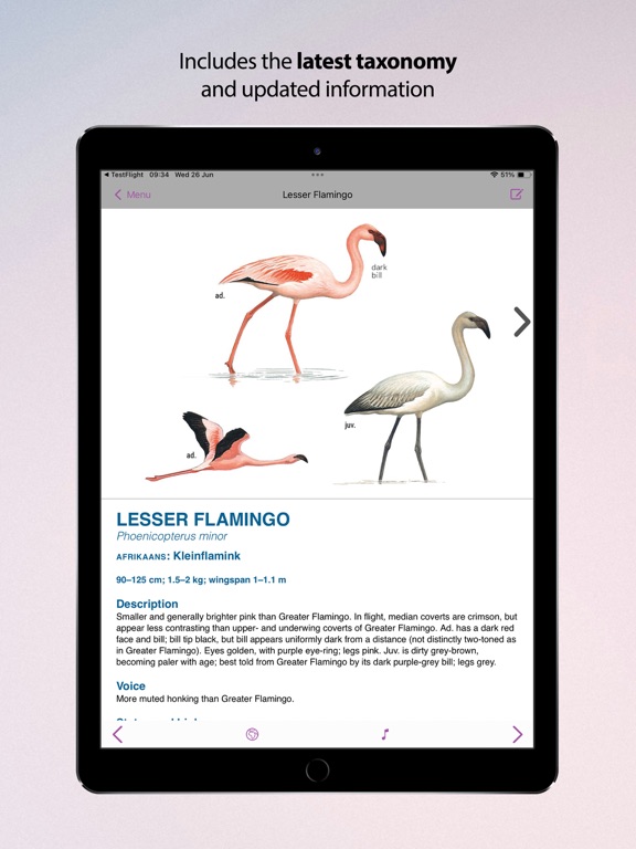 Screenshot #5 pour Sasol eBirds Kruger Park