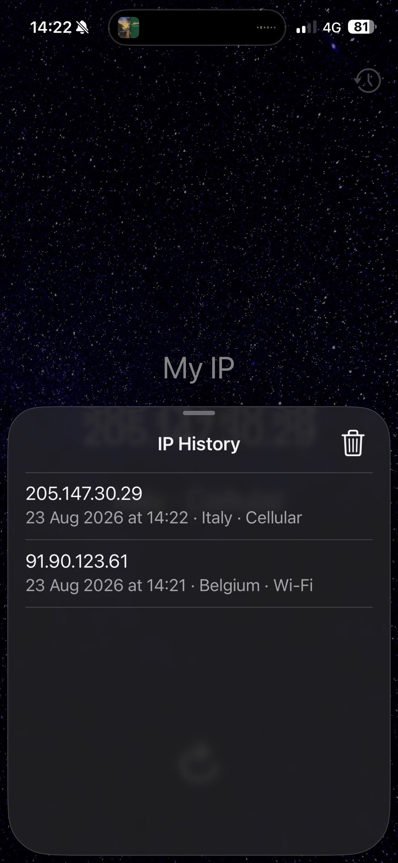 The Simplest Ever Find My IP screenshot 3