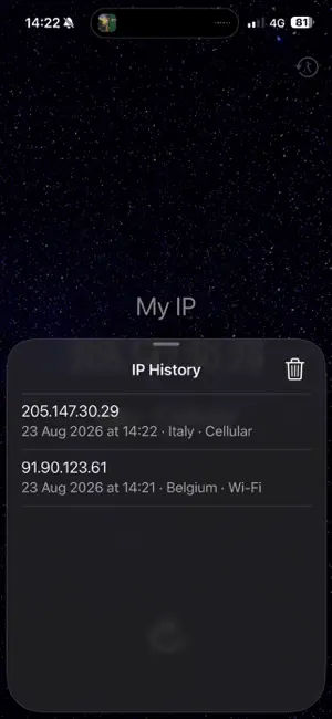 The Simplest Ever Find My IP screenshot 3