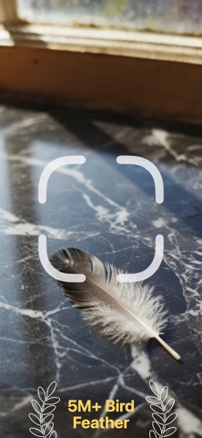 Feather Identifier: AI Screenshot 1 of 6