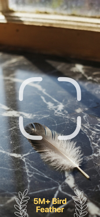 Feather Identifier: AI Screenshot 1 of 6
