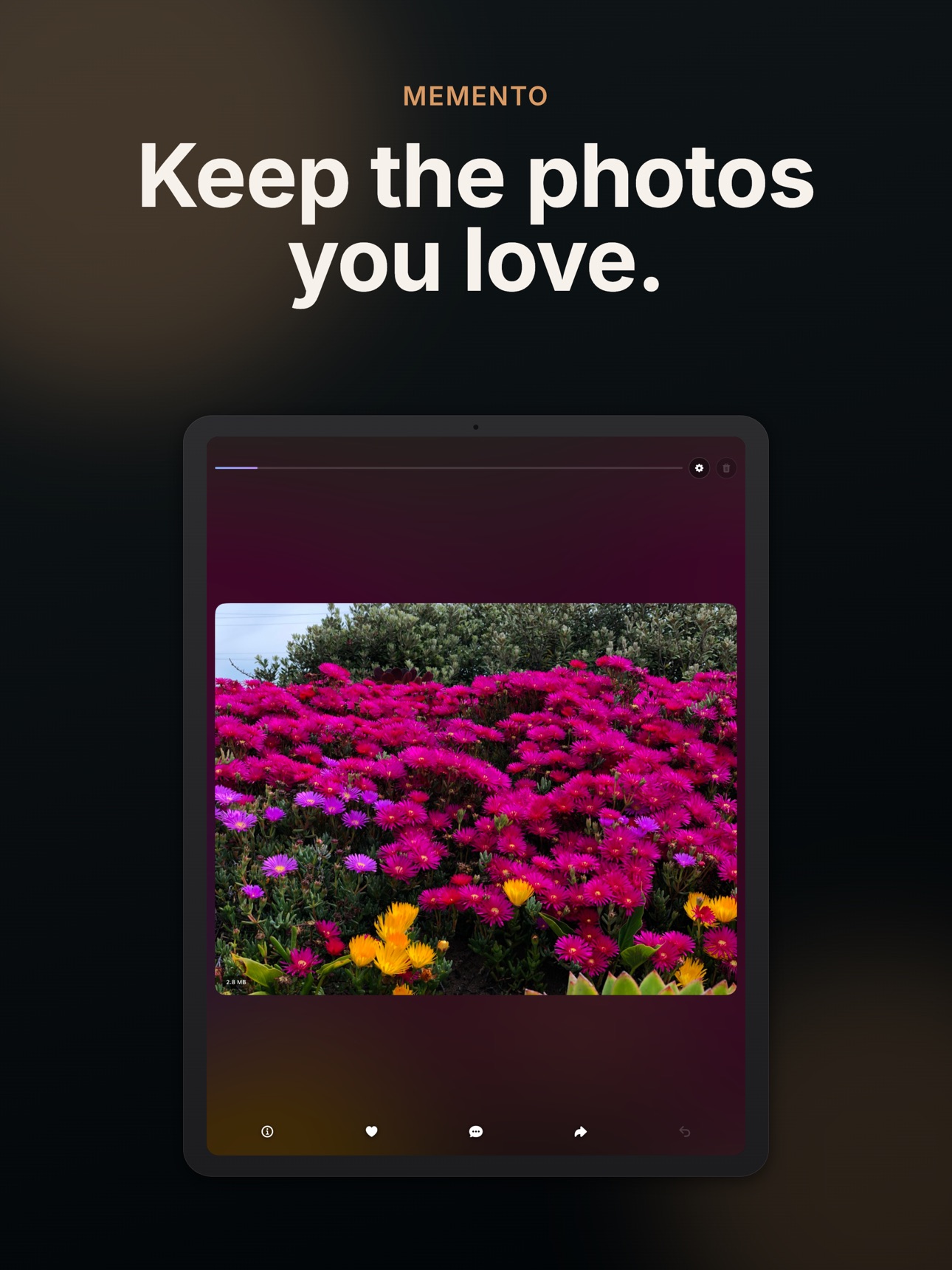 Screenshot 4 of Memento: Photo Cleaner