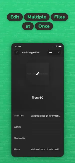 Evertag: Music Tag Editor iPhone screenshot 3