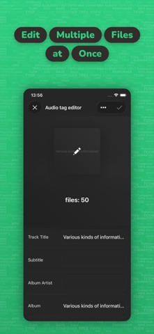 Evertag: Music Tag Editor App Store preview screenshot 3
