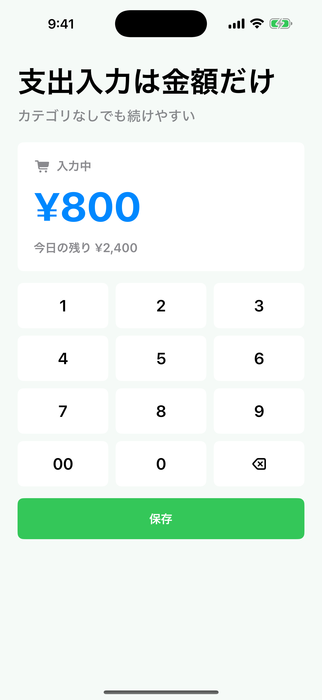CashFlowDayBudget screenshot 2