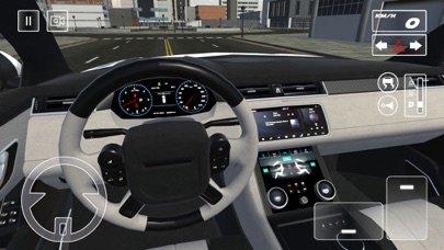 Critical Car Driving Screenshot