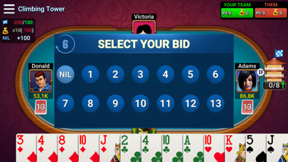 Vip Casino Screenshot