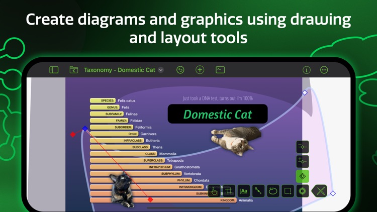 OmniGraffle 3