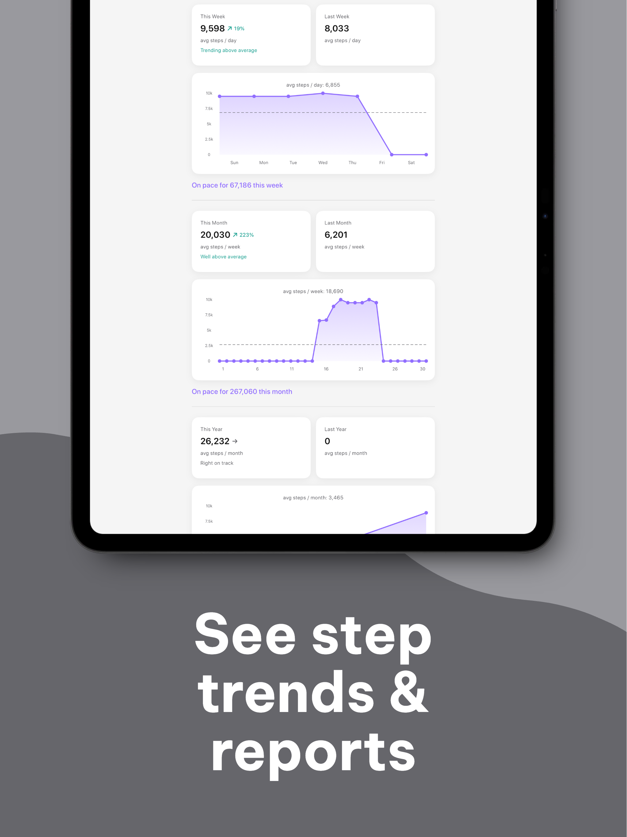 LittySteps: Basic Pedometer screenshot 7