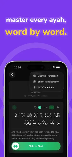AyatBits - Interactive Hifz screenshot 3