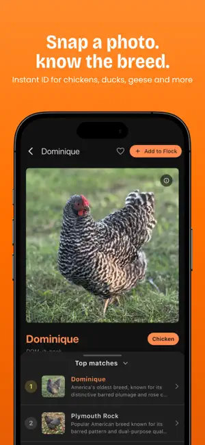 Feathrs: Chicken & Egg Tracker screenshot 1