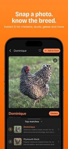 Feathrs: Chicken & Egg Tracker Screenshot 1 of 8