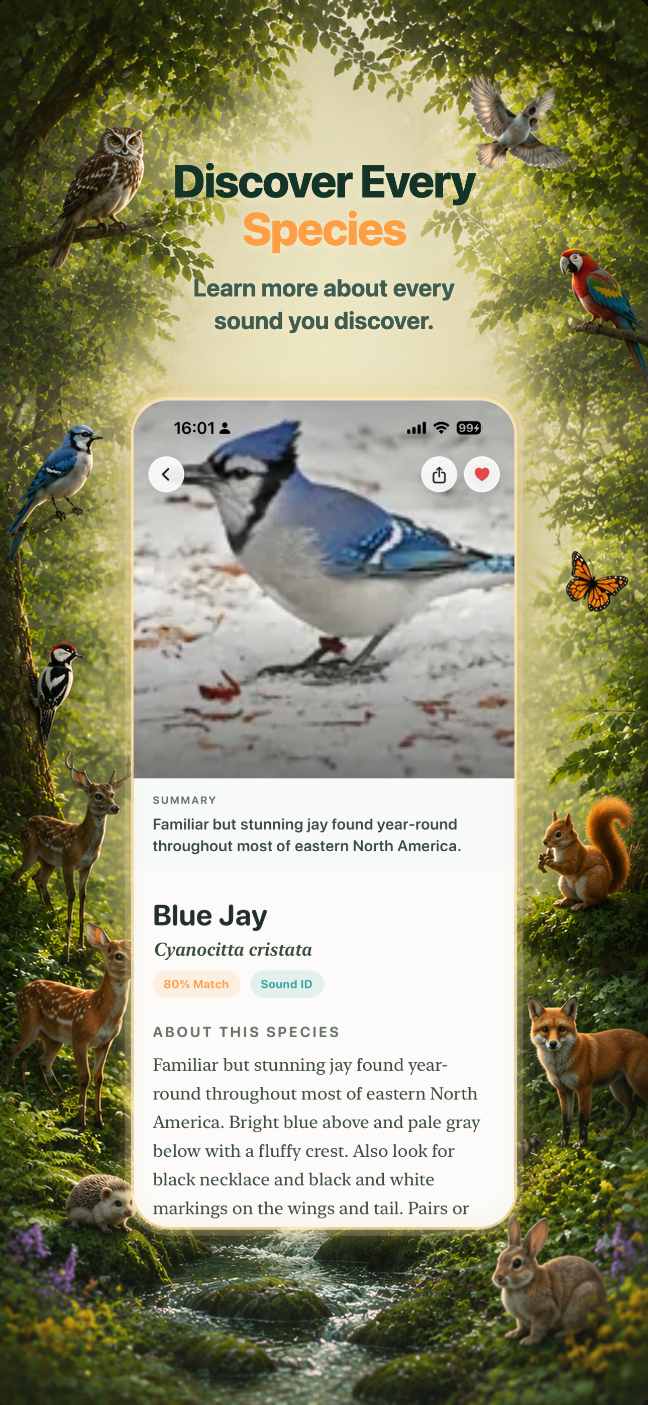 NatureEar - Offline Sound ID screenshot 3