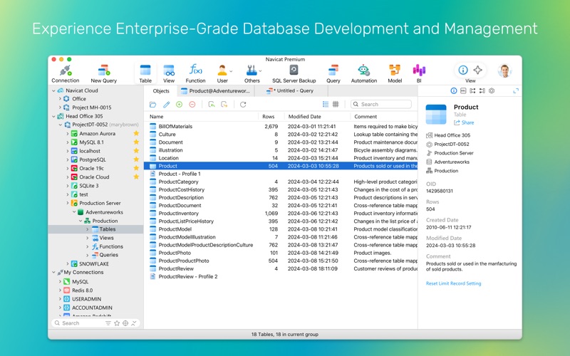 Navicat Premium 18 Screenshot 1