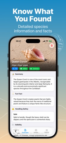 Sea Shell Identifier - AI ID Screenshot 3 of 6