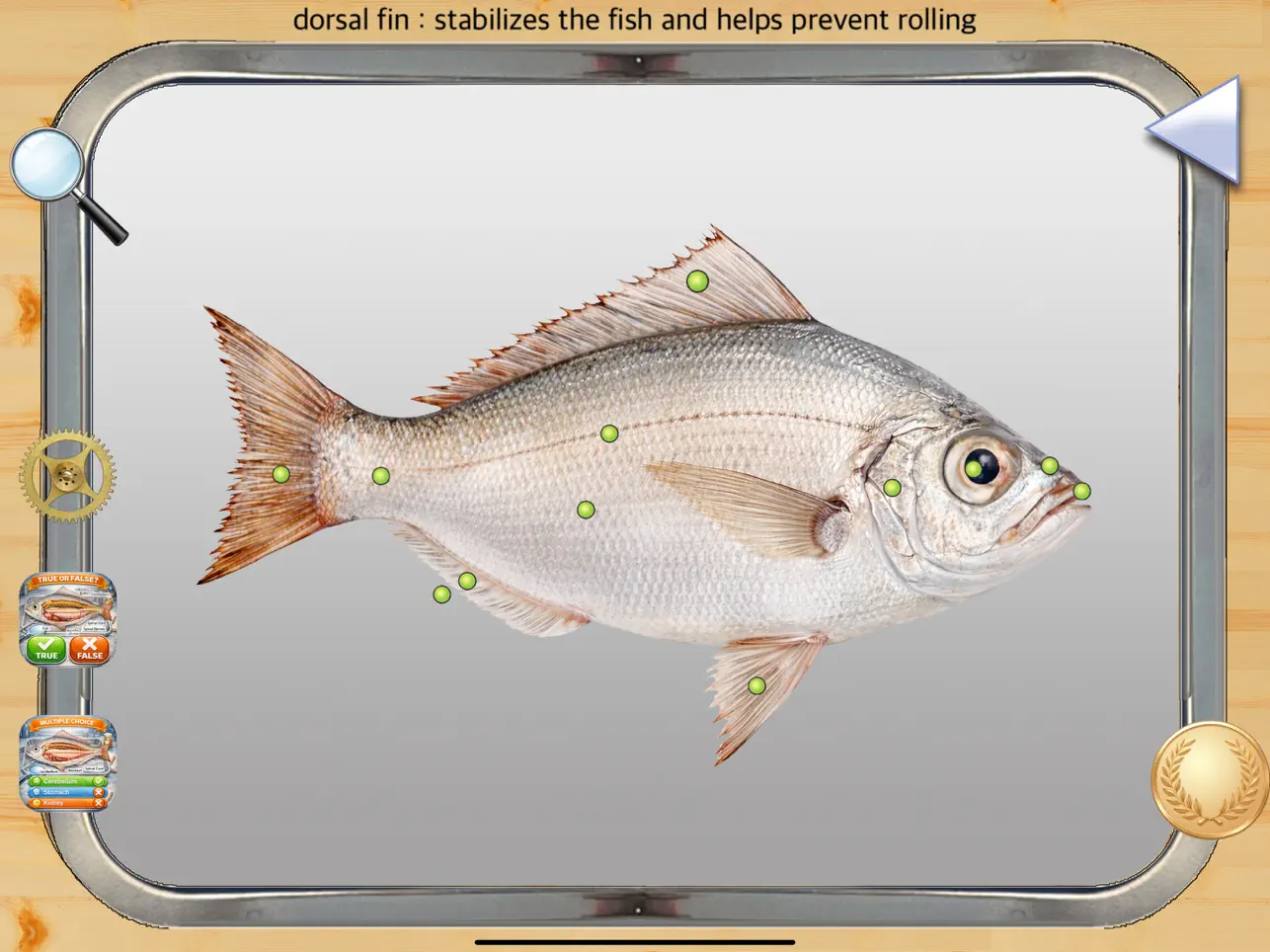 Screenshot #5 pour Anatomy of a Fish