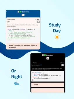 SofiaIQ: Flutter and Dart Code screenshot 13