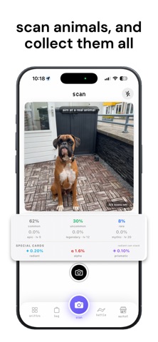 gotem: animal identifier ai iPhone screenshot