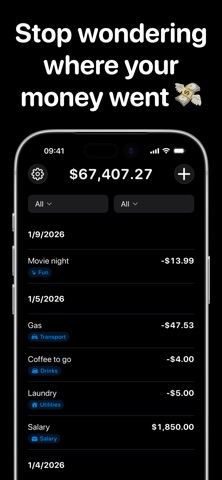 LiviQe – Private Money Tracker screenshot
