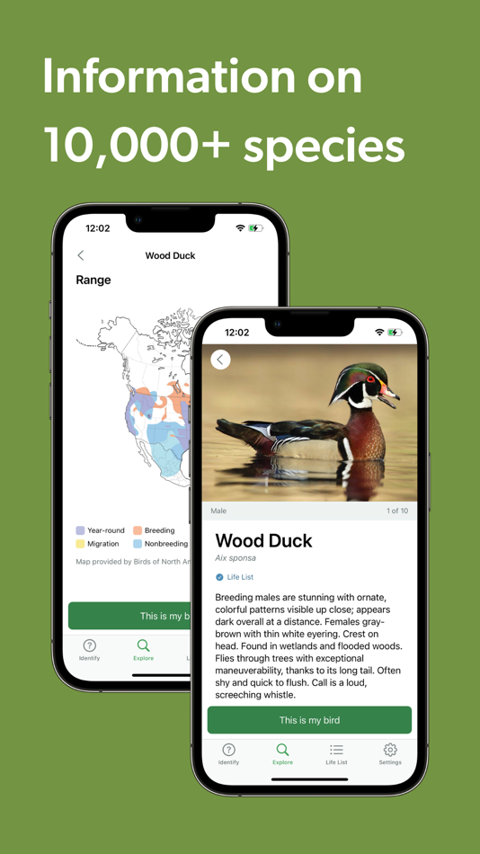 #8. Merlin Bird ID by Cornell Lab (iOS) 由: Cornell University