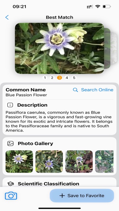 Plant Identifier: AI Scanner Screenshot