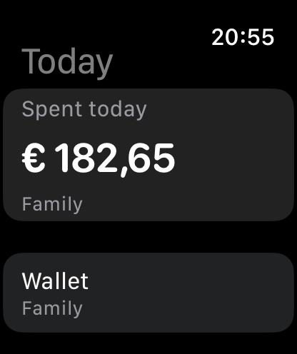 Money tracker. Family spending