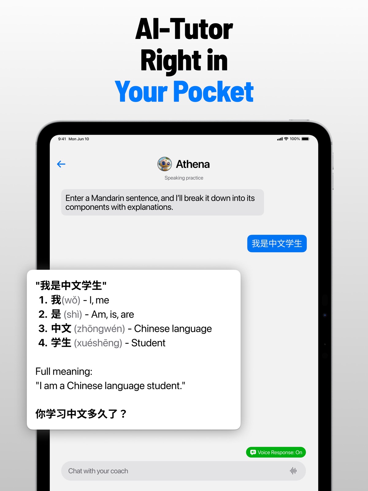 Victor AI - Language Learning ipad screenshot 3