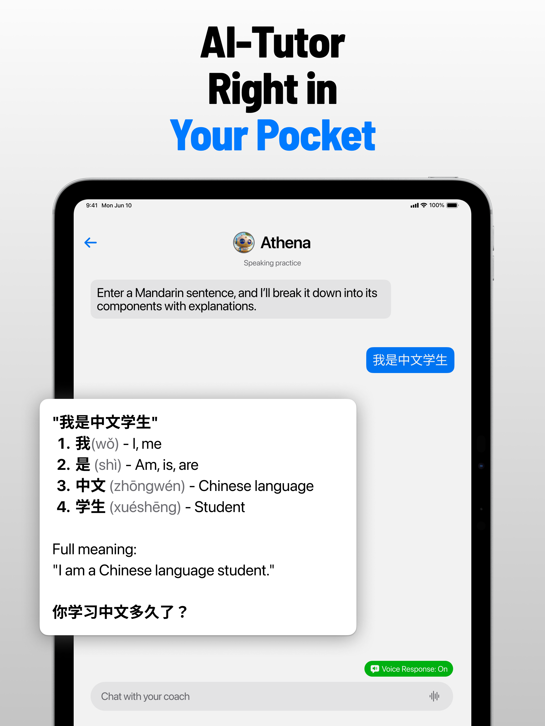 Victor AI - Language Learning