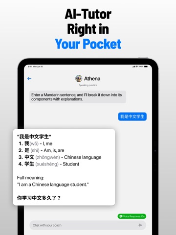 Victor AI - Language Learning iPad screenshot