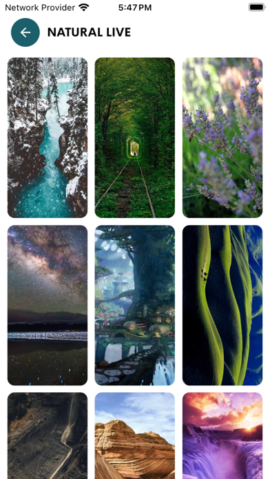 Screenshot #3 pour Live wallpapers - Screen Art