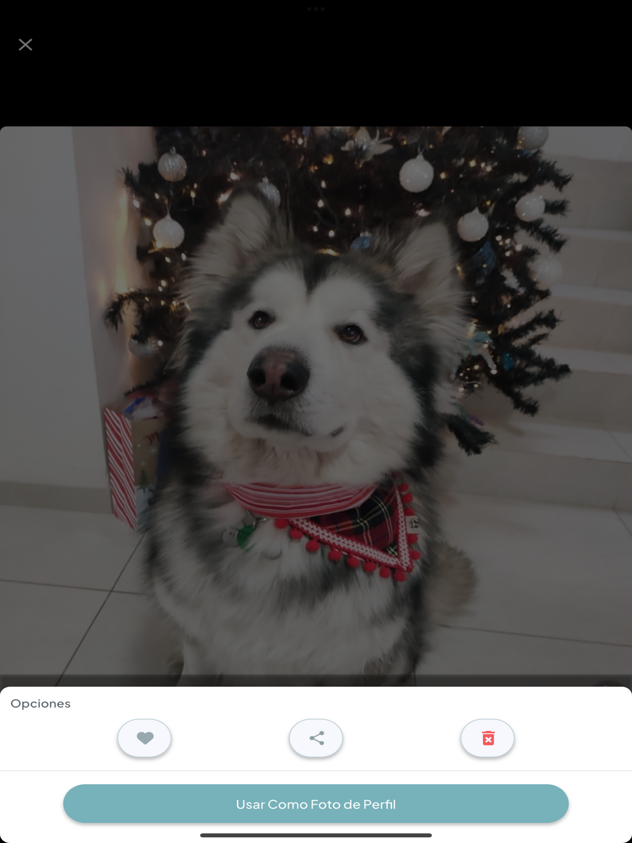 KayloCard screenshot 14