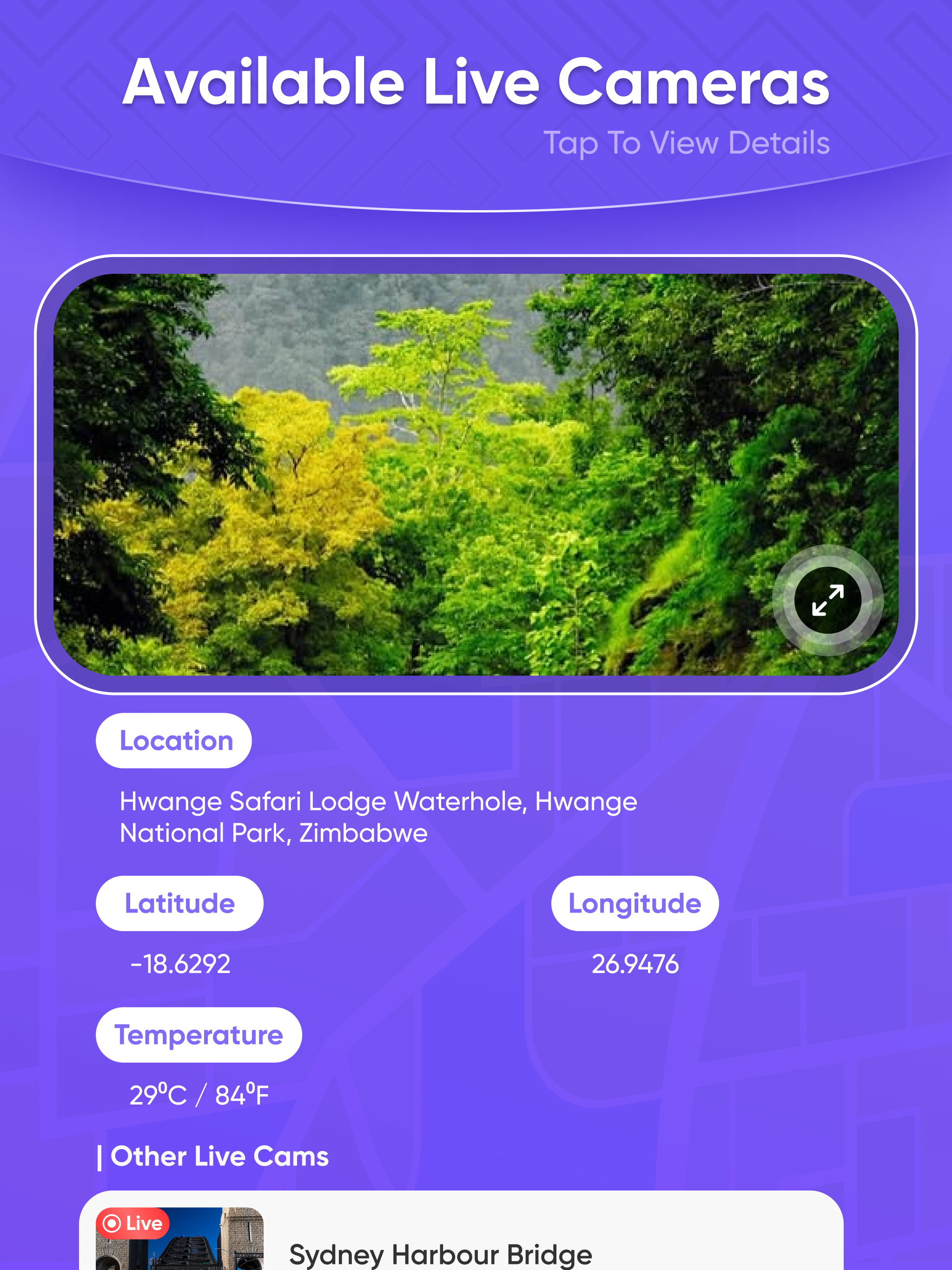 Speed Camera Tracker :Live Cam screenshot 13