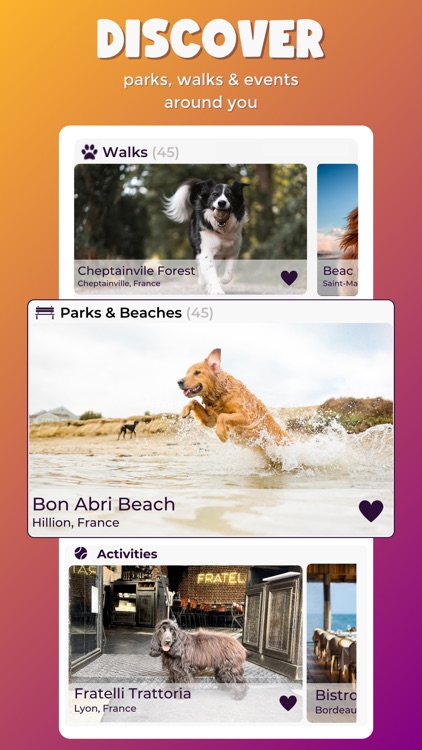PlayDogs: Walk your dog