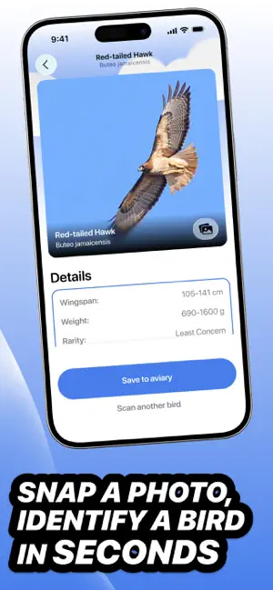 Chirp - Bird Identifier screenshot 2