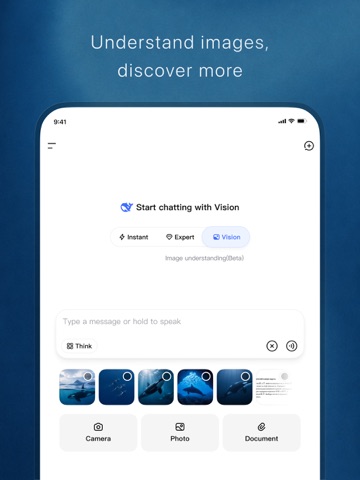 DeepSeek - AI Assistant iPad screenshot