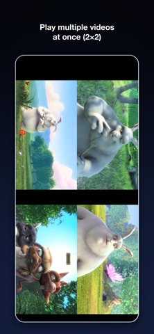 ABL Video Player iPhone screenshot