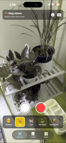Animal Eye Sight iPhone screenshot