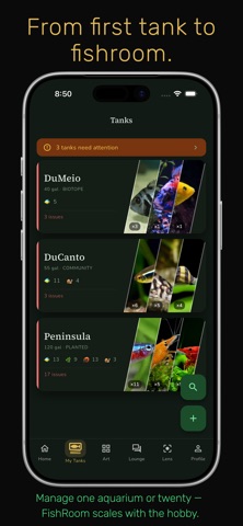 FishRoom screenshot