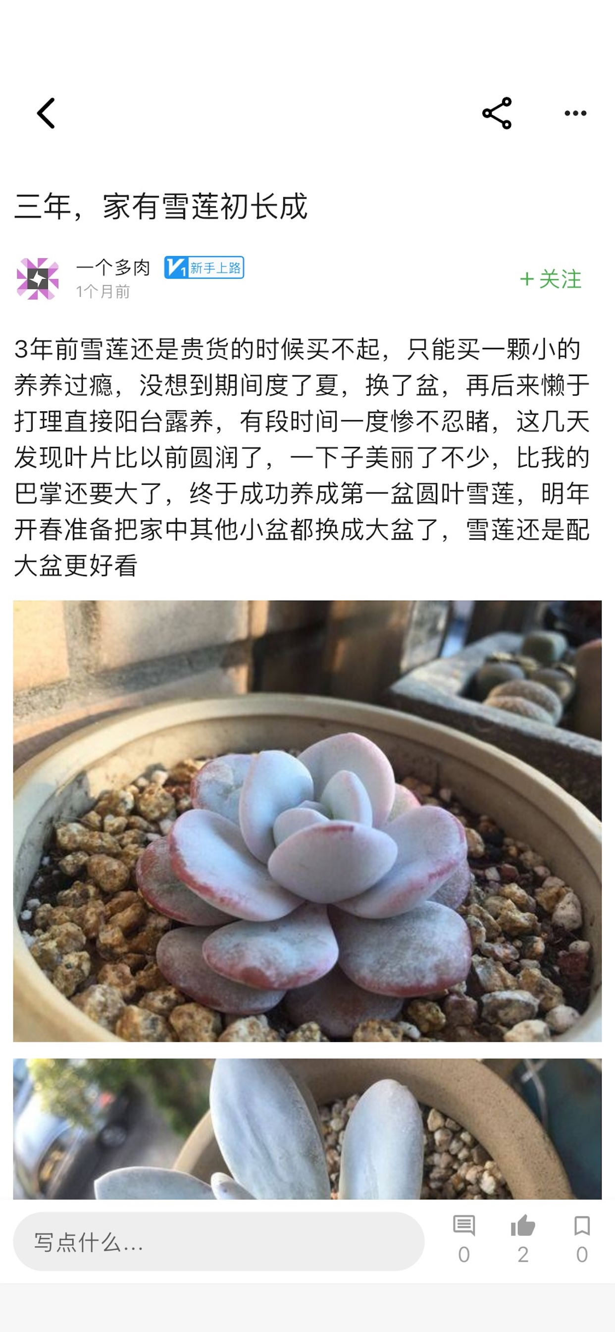多肉之家 screenshot 4