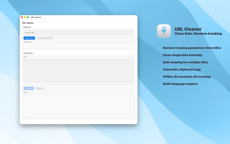 URL Cleaner screenshot