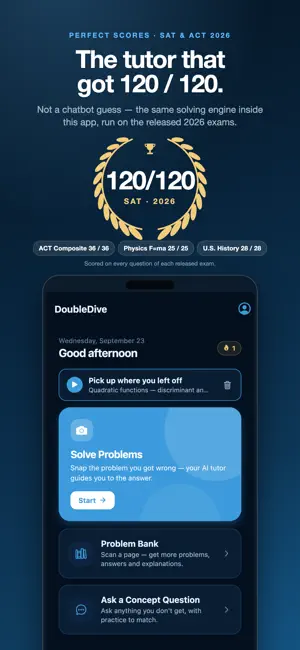 DoubleDive screenshot 1