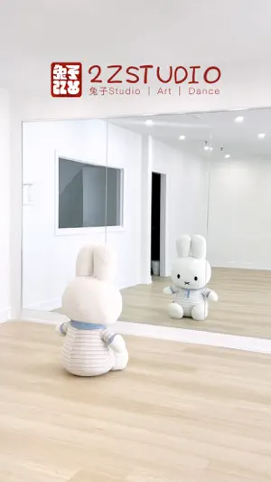 2ZStudio screenshot 1