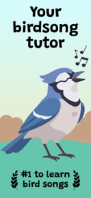 Syrinx: Learn Bird Songs screenshot